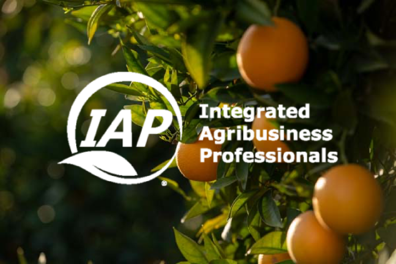 About Buttonwillow Buttonwillow Warehouse Company